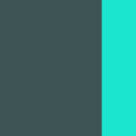 Anthracite/Turquoise
